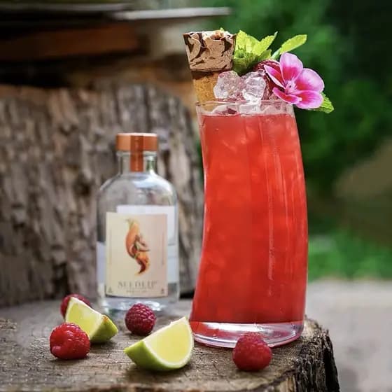 Barra guia barra doméstica criativa suco vidro Colin vidro em forma especial Cocktail vidro longo beber vidro leite copo