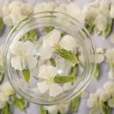 Acácia planta espécime flor seca pressionado flor marcador em relevo caso de telefone pintura em relevo criativo rosto d