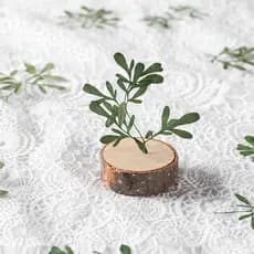 Nuvem de cor fervida Folhas perfumadas Folhas reais Espécimes de plantas Folhas reais Plástico Folhas de flores reais Ad