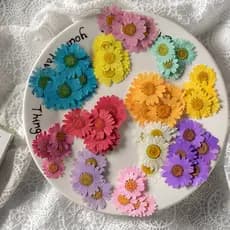 Jingju flor prensada flor seca diy cartão marcador acessórios de joias epóxi acessórios de velas perfumadas Material fol