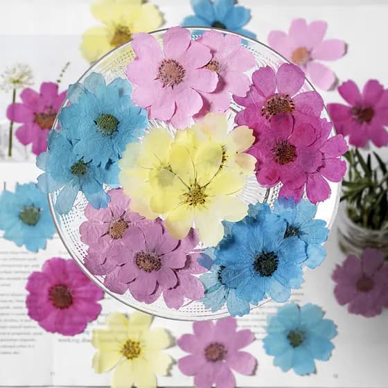 Gesang flor tingimento epóxi diy marcador Material gravação pressionado flor seca planta amostra folhas adesivos artesan