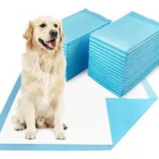 Tapetes Higiênicos Dogcator Extra Grandes 30"x36", 30 Unidades, Tapetes Super Absorventes para Cães, Tapetes Descartávei