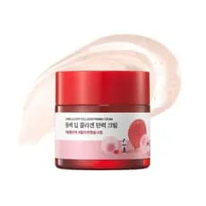 ROUNDLAB Camellia Deep Collagen Firming Cream 1,69 onças, um hidratante facial multi-colágeno que aumenta a elasticidade