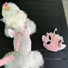 Respirável Morango Padrão Gato Cão Arnês Colar Escapar Pet Asa Trela Conjunto Gatinho Filhote De Cachorro Chihuahua Boni