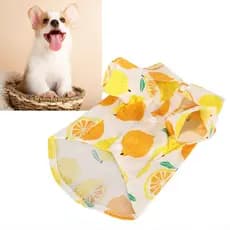 Hyhyhy Hawaiian Dog Shirts  Cotton Breathable Turn Down Collar Snap Design Fruit Print Skin Friendly Summer Stylish for