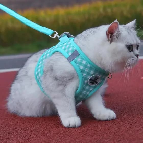 Coleira Peitoral para Gatinho, Coleira Anti-quebra Ajustável e Refletiva para Gatinho, Coleira Peitoral para Cães Pequen