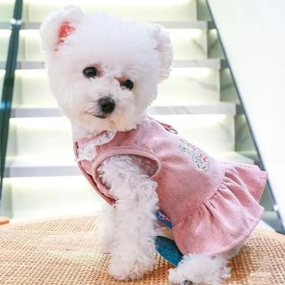 Pet Clothing Cat Dog Spring and Autumn Thin Pink Rabbit Princess Dress with Towing Strap Suitable for Small and Medium D