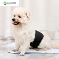 LGOO Fralda Masculina Para Cães , Roupa Íntima Lavável Animais De Estimação , Faixa De Barriga Ajustável À Prova De Vaza