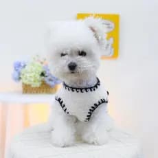 Inverno Roupas Para Cães Casaco De Cachorro Preto Branco Arco Jaqueta De Estimação Meninas Cão Gato Colete