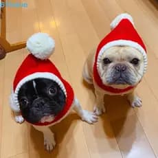 Chapéu De Lã De Gato De Ano Novo TOBIE , Inverno Quente De Malha Para Animais De Estimação Natal Macia Cachorro Vermelho