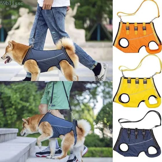 Colete Transportador BLISSC para Filhotes, Suporte para as Pernas, Vários Tamanhos, Cinta Traseira para Cães, Arnês Ajus