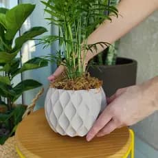 Vaso Cachepot Ondas - alta qualidade impressão 3D