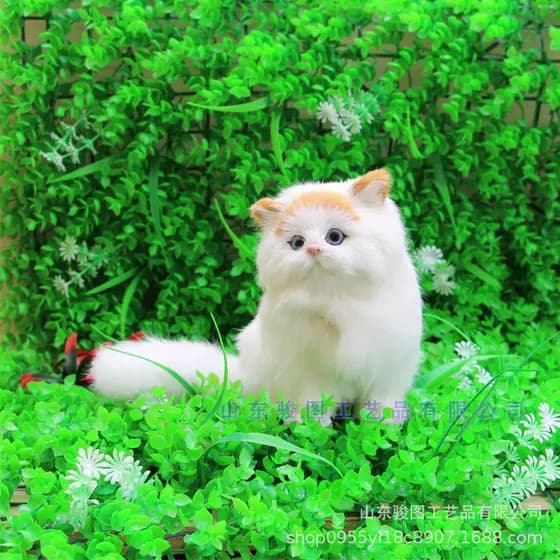 Shandongjun imagem chamando brinquedos de gato gato gordo modelo de pele decoração para casa área de cenário presentes d
