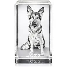 Cristal fotográfico personalizado para animais de estimação - Lembrança de vidro gravada a Laser 3D - Lembrança personal