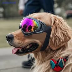 [WillbehotB] Óculos Para Cães De Sol De Raça Média E Grande Alças Ajustáveis Proteção UV Cachorro , Cachorrinho , Passei