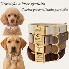 Coleira De Cachorro Personalizada Com Nome , Veludo Para Gravada Macia Animais De Estimação , Etiqueta Grátis Várias Cor