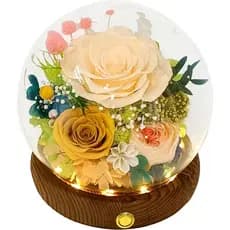 Vale da Chuva e da Floresta - Flores Reais de Longa Duração, Presente Floral Único para Você Enviar Amor em Todas as Oca