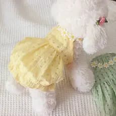 Ins Summer Fresh Pet Skirt Cat Teddy Beagle Thin Breathable Spring and Summer Pet Clothes*&--&-&*
