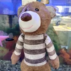 Brinquedo Pelúcia Urso Grande Big de 35cm Mordedor com Apito Sonoro