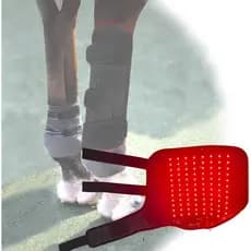 Botas terapêuticas com luz vermelha e luz infravermelha para cavalos reduzem a inflamação e aliviam a dor.