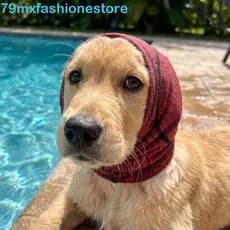 Protetores De Orelha Para Natação De Cães MXFASHIONESB , Ouvido Calmantes Ajustáveis À Prova De Choque , Proteção Contra