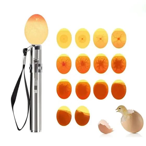 forevergo 1Pc Incubadora De Aço Inoxidável Lanterna De Ovo LED Detector Equipamento De Incubação De Ovos De Codorniz De Frango S2Y6