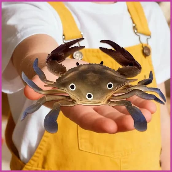 Brinquedos De Apertar Para Crianças , Recuperação Lenta , Figuras De Animais Marinhos , Sensoriais Casa , Escola , Sala