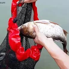 [sum] Rede De Pouso De Pesca Coleção De Captura Bolsa Com Cordão Portátil Dobrável Thiening De Malha De Grade Pequena Eq