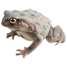 Sapo Brinquedos Para Crianças Engraçado Estatuetas Bullfrog Estatueta Modelo Bonito Estátua Modelos Brinquedo Em Miniatu