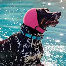 Capas Para Orelhas De Cachorro , Proteção Auditiva Ajustável , Protetor De Orelha Calmante Cães , Protetores À P