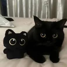 Pelucia Gatinho, Acessorio de bolsa, Chaveiro , Decoração de Ambientes, Presentes e lembrancinhas 10cm