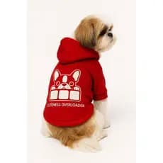 Roupa Roupinha Pet Moletom Flanelado Com Capuz Inverno Fofo para Cães e Gatos PEQUENO Porte