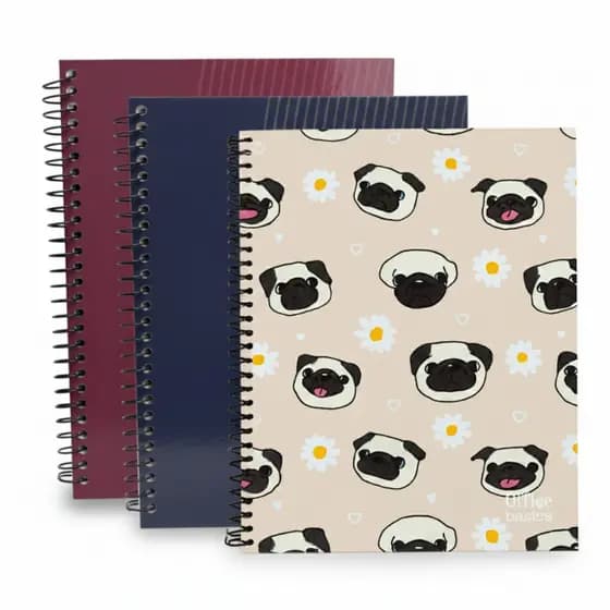 Caderno Universitário 1 Matéria Capa Dura 160fls Estampas Escolar