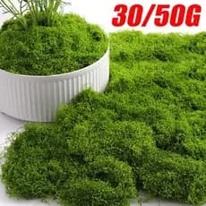 Planta Verde Biomimética-Musgo Artificial Vida Eterna-Grama Falsa Simulada Com Aspecto Realista-Micro Artesanato Paisagístico-Home Room Garden Bonsai Decor