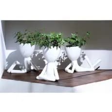 Kit 3 Mini Vasinhos Com Plantas Robert Plant Cactos Suculentas Lembrancinha Decoração Enfeite