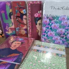 Caderno universitário Frida kalho 80 fls 1 matéria