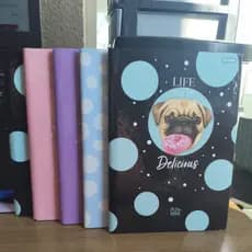CADERNO BROCHURINHA PET HOLIC 80 FOLHAS