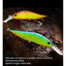 Isca Artificial Tsurinoya Vision Plus R+1 Jr 9,8cm 10,g