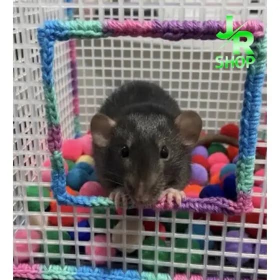 Piscina de Bolinha Bordada Artesanal Para Rato Twister Hamster Roedores Feito a Mão