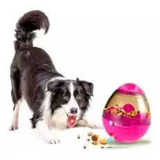 Comedouro Interativo Anti Stress Brinquedo Caes Gatos Pets Cor Sortida