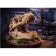 Crânio Dinossauro T-Rex 3D Decorativo | Estátua Realista Geek | Decoração Gamer Jurassic