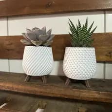 Dupla de Vasos para Suculenta Mini Cacto 8cm - Branco ou Preto