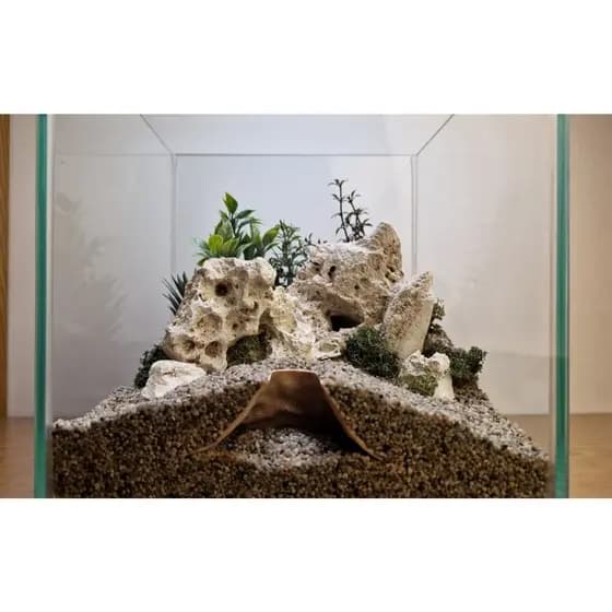 CAVERNA PARA AQUARIO - DECORAÇÃO DE TERRÁRIO