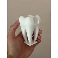 Porta cartão em formato de dente - 10 cm