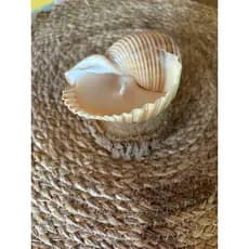 vela na concha com cera de coco