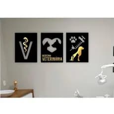 Quadro Decorativo Medicina Veterinária Clínica Pet Consultório Veterinário MDF Premium 40x60