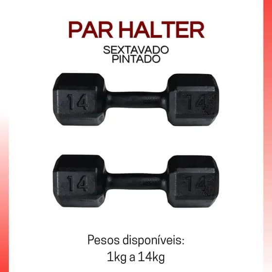 Par Halter Sextavado Pintado 6kg a 14kg – Peso Livre Academia Musculação Profissional