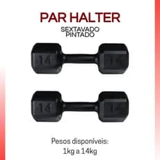 Par Halter Sextavado Pintado 6kg a 14kg – Peso Livre Academia Musculação Profissional