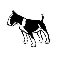 Adesivo Pet Cachorro Bull Terrier 10x12cm Carro Moto