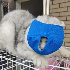 [Scarlett] Máscara Anti-Mordida Para Gatos De Estimação Respirável Focinhos De Beleza Cães E Multifuncional Mastigar Sup